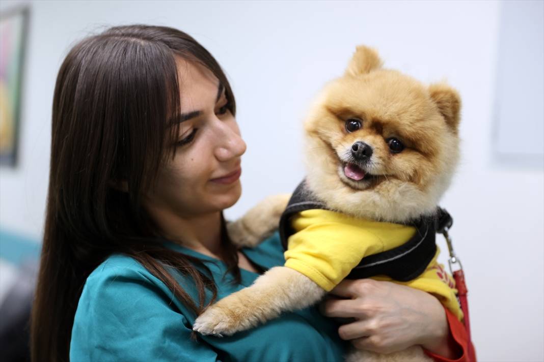 Selçuk Üniversitesi sektörde en çok aranan isimleri yetiştiriyor 2